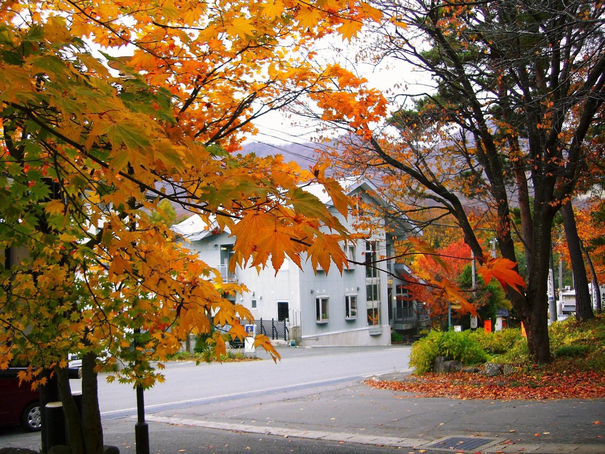Pension Puutaro Yamagata  Ngoại thất bức ảnh